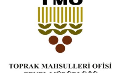 TMO FINDIK SATIŞLARINA BAŞLADI