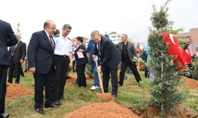 Afrin Şehitleri İçin Trabzon’da Hatıra Ormanı Oluşturuldu