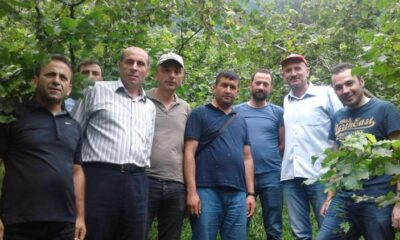 FINDIKTA REKOLTE TESPİTİ TAMAMLANDI