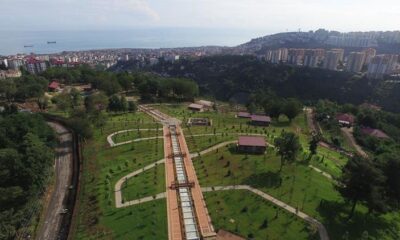 Hayden Trabzon Botanik’i tanımaya