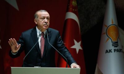 TMO 1 KASIMDAN İTİBAREN FINDIK ALACAK