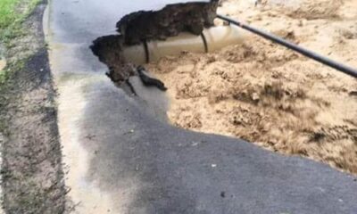 TTSO’dan Araklı için taziye mesajı