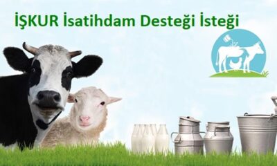 Cumhurbaşkanından hayvancılığa İŞKUR istihdam desteği isteği