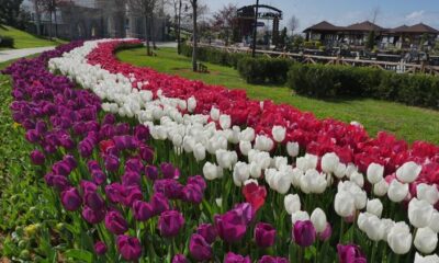 Trabzon Çiçek Bahçesine Döndü