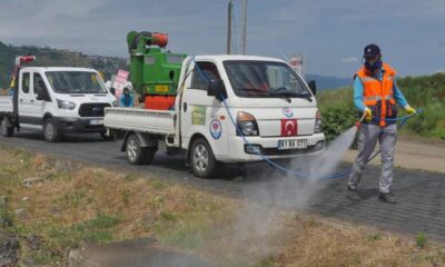 Büyükşehir Vektörle Mücadeleye Hız Verdi