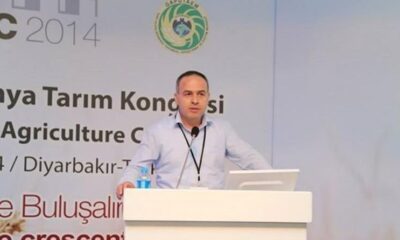 Fındık doğu da ara, batıda ise ana geçim kaynağı haline dönüşüyor
