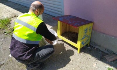 Sahipsiz Canlar Büyükşehir Korumasında