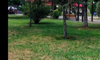 TRABZON’UN SOSYAL ALANLARI