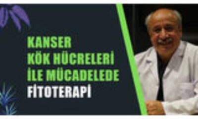 Kanser Kök Hücreleri İle Mücadelede Fitoterapi