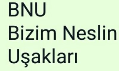 BNU (Bizim Neslin Uşakları)