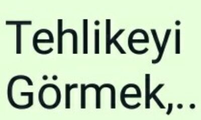 Tehlikeyi Görmek