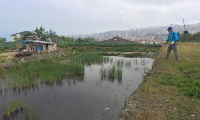 Büyükşehir Vektörle Mücadelede Yaza Hazır