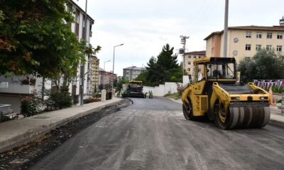 Bu Sene Yol Senesi