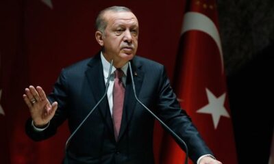 2022 Fındık Fiyatı 54 TL