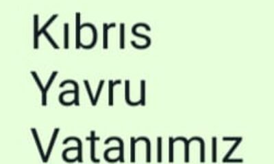 Kıbrıs Yavru Vatanımız