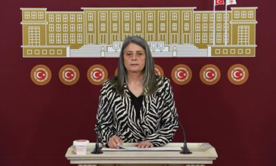 Böcekler Fındığa, İktidar Fındık Üreticilerine Dadandı
