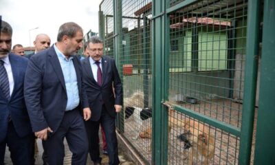 Bize Emanet Olan Canlara Sahip Çıkacağız