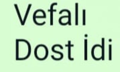 VEFALI DOST İDİ