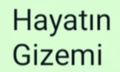 Hayatın Gizemi