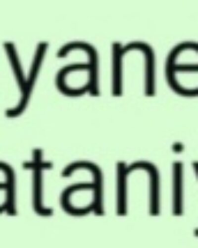 HIYANET-İ VATANİYE